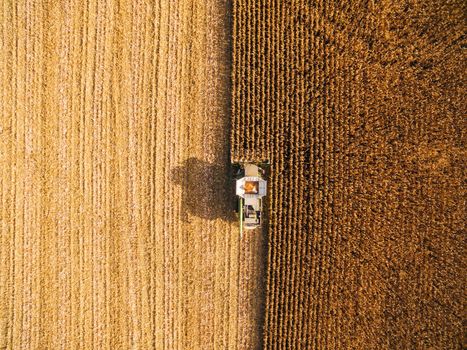 Harvesting Corn in the Green Field. Aerial photography over Automated Combines