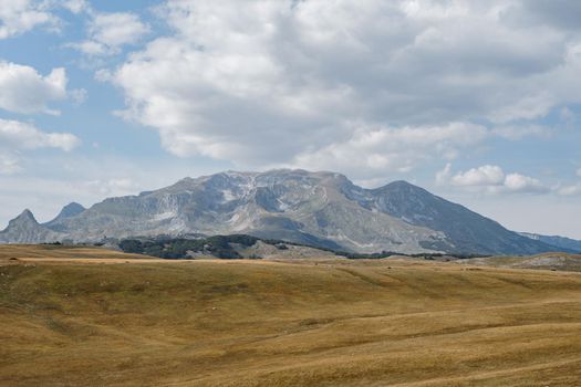 High mountain range rises above a valley in Durmitor National Park. High quality photo