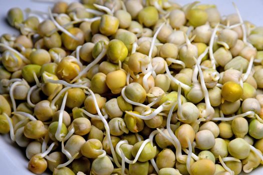 pea sprouts in a closeup