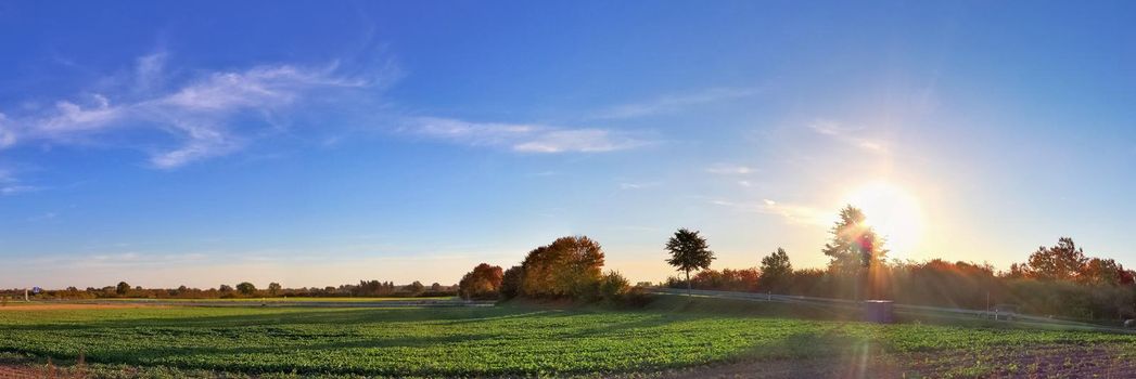 Beautiful high resolution panorama of a northern european country landscape with fields and green grass.