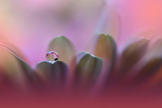 Beautiful Macro Shot of Magic Flowers.Border Art Design.Magic Light.Extreme Close up Photography.Conceptual Abstract Image.Violet and Pink Background.Fantasy Art.Creative Wallpaper.Beautiful Nature Background.Amazing Spring Flower.Water Drop.Copy Space.