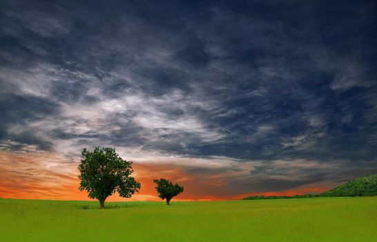 Beautiful Tranquil Nature Background.Amazing Rural Scene.Art Design.Creative Photography.Conceptual Photo.Fantasy Art.Artistic Wallpaper.Yellow Color.Green Field at Sunset.Blue Sky and Clouds.Orange Color.Unique Summer Landscape.Sun,tree.Grass,sunrise.