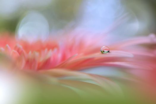 Beautiful macro shot of magic flowers.Border art design. Magic light.Extreme close up macro photography.Conceptual abstract image.Pink and Green Background.Fantasy Art.Creative Wallpaper.Beautiful Nature Background.Amazing Spring Flowers.Water Drop.