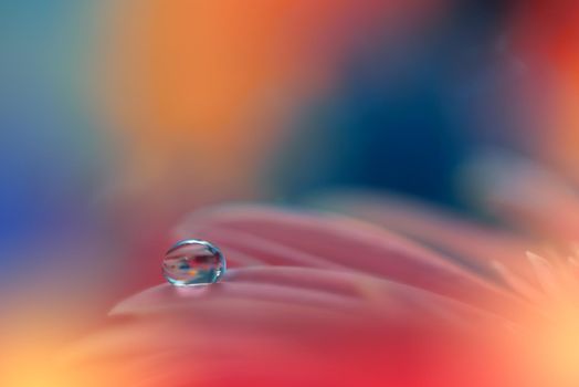 Beautiful macro shot of magic flowers.Border art design. Magic light.Extreme close up macro photography.Conceptual abstract image.Orange and Blue Background.Fantasy Art.Creative Wallpaper.Beautiful Nature Background.Amazing Spring Flowers.Water drop.