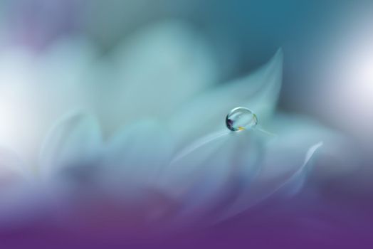 Beautiful Macro Shot of Magic Flowers.Border Art Design.Magic Light.Extreme Close up Photography.Conceptual Abstract Image.Blue and Pink Background.Fantasy Art.Creative Wallpaper.Beautiful Nature Background.Amazing Spring Flower.Water Drop.Copy Space.