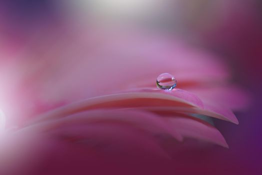 Beautiful Macro Shot of Magic Flowers.Border Art Design.Magic Light.Extreme Close up Photography.Conceptual Abstract Image.Violet and Pink Background.Fantasy Art.Creative Wallpaper.Beautiful Nature Background.Amazing Spring Flower.Water Drop.Copy Space.