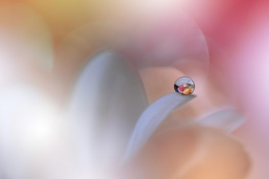 Beautiful Macro Shot of Magic Flowers.Border Art Design.Magic Light.Extreme Close up Photography.Conceptual Abstract Image.White and Pink Background.Fantasy Art.Creative Wallpaper.Beautiful Nature Background.Amazing Spring Flower.Water Drop.Copy Space.