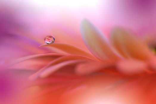 Beautiful Nature Background.Floral Art Design.Abstract Macro Photography.Gerbera Daisy Flower.Pastel Flowers.Violet Background.Creative Artistic Wallpaper.Wedding Invitation.Celebration,love.Close up View.Happy Holidays.Pink Color.Copy Space.Water Drop