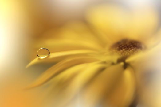 Beautiful macro shot of magic flowers.Border art design. Magic light.Extreme close up macro photography.Conceptual abstract image.Yellow and White Background.Fantasy Art.Creative Wallpaper.Beautiful Nature Background.Amazing Spring Flowers.Water Drop.