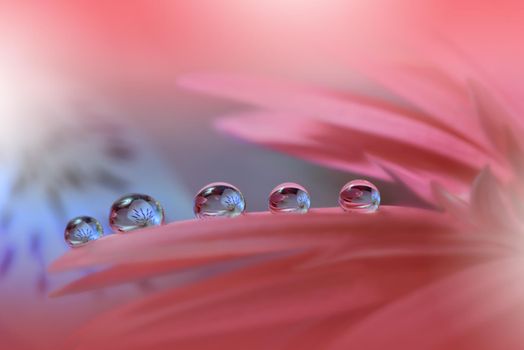 Beautiful macro shot of magic flowers.Border art design. Magic light.Extreme close up macro photography.Conceptual abstract image.Violet and Pink Background.Fantasy Art.Creative Wallpaper.Beautiful Nature Background.Amazing Spring Flowers.Water drop.