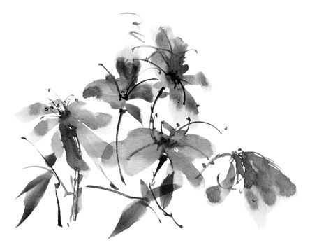 Ink painting of flowers - bouquet of flowers and leaves on white background. Oriental traditional painting in style sumi-e.