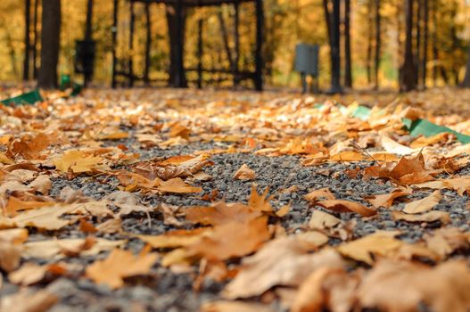 Autumn sunny landscape. The road in the park leads to the gazebo. Autumn park of trees and fallen autumn leaves on the ground in the park on a sunny October day. template for design.Copy space.