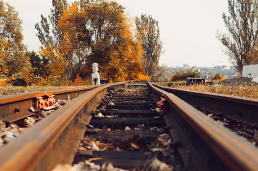 Autumn sunny landscape. Railroad in the park. Autumn park of trees and fallen leaves on the ground in the park on a sunny October day. Template for design. Copy space.