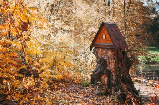Wooden big house for squirrels with a feeder on a stump in the forest. Autumn park with trees and yellow foliage on the ground. The concept of the onset of cold weather.