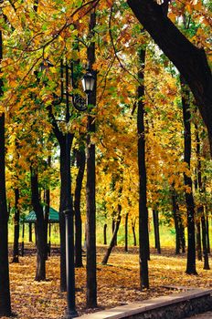 Retro street lamp in a recreation park on a background of yellow bright trees. Beautiful autumn warm landscape.template for design.
