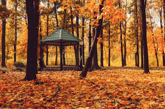 Autumn sunny landscape. The road in the park leads to the gazebo. Autumn park of trees and fallen autumn leaves on the ground in the park on a sunny October day. template for design.Copy space.