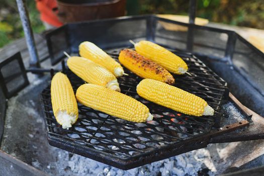 Grilled corns on the hot stove.