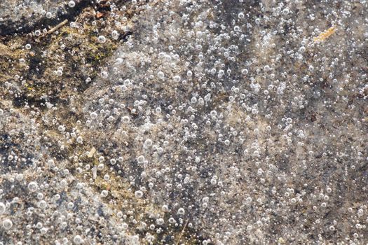 Air bubbles in the frozen water, ice background