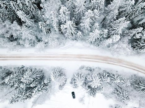 Winter snow-covered road top view . Winter landscape. Winter background. Snow-covered Christmas trees. Natural background