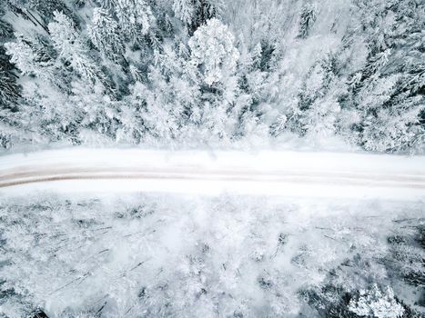 Winter snow-covered road top view . Winter landscape. Winter background. Snow-covered Christmas trees. Natural background