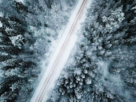 Winter snow-covered road top view . Winter landscape. Winter background. Snow-covered Christmas trees. Natural background