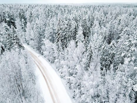 Winter snow-covered road top view . Winter landscape. Winter background. Snow-covered Christmas trees. Natural background