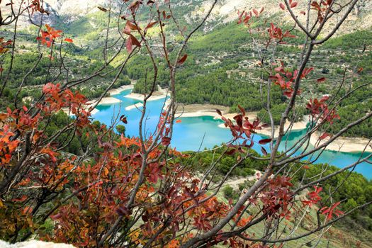 The swamp of Guadalest village surrounded by vegetation and mountains on a sunny day