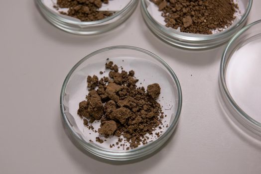 Glassware with soil samples. Laboratory research. Close-up.