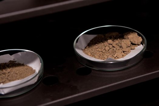 Glassware with soil samples. Laboratory research. Close-up.