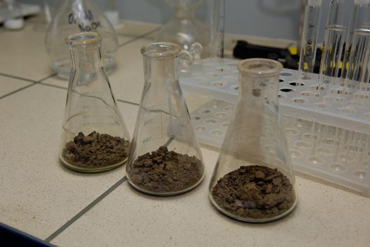 Glassware with soil samples. Laboratory research. Close-up.