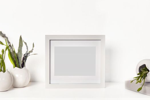 Square simple blank photo frame on tabletop surrounded by vases with green plants or flowers, isolated on white. Close up, copy space for your text or images. Mock up