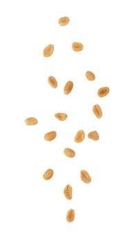 Salted peanuts isolated on a white background