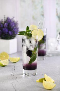 Refreshing summer cocktail Blackberry mojito with ice, fresh mint and lime