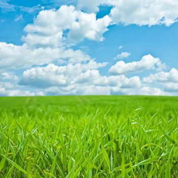 Green field and blue sky with clouds, beautiful meadow as nature and environmental background.