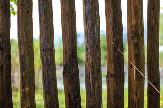 Close up photo - old wooden fence posts poles, with blurred spring country and river in background.