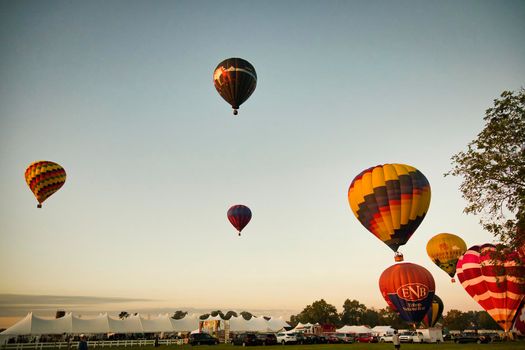 View of Many Hot Air Balloons Getting Ready to Take Off On An Early Morning Balloon Festival