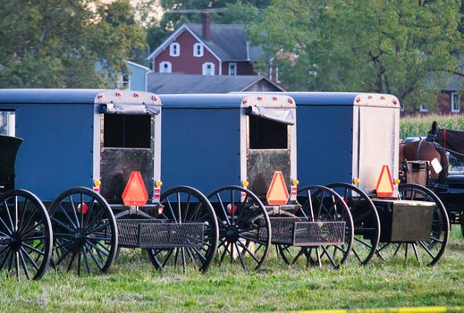 Row of Amish Carriages and Buggies at a Lancaster PA Event on a Cloudy Day