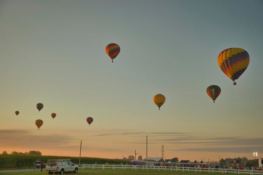 View of Many Hot Air Balloons Getting Ready to Take Off On An Early Morning Balloon Festival