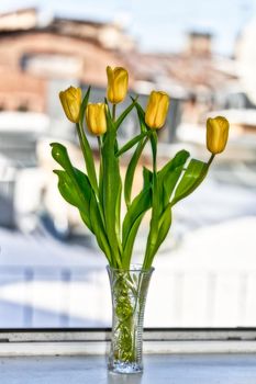 A bouquet of yellow tulips in a crystal vase against a snow-covered roof. Vertical frame