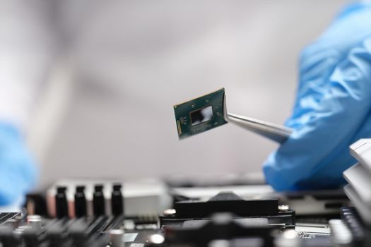 Fingers in blue gloves are holding a microchip with tweezers, close-up, blurry. Professional repair of electronic equipment