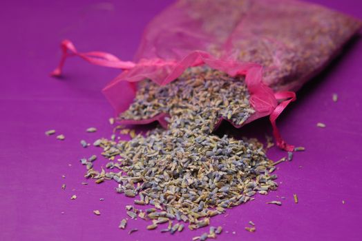 lavender dry leaf on purple background .