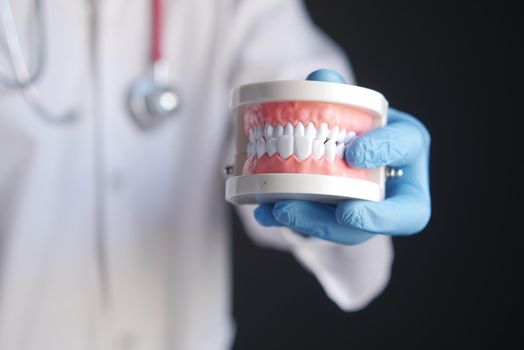 doctor hand holding plastic dental teeth model on table .