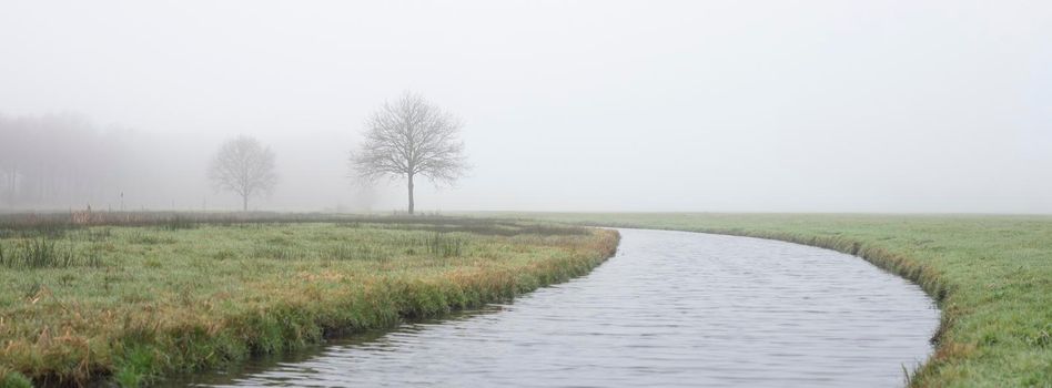 trees along canal near forest and green meadows in dutch province of utrecht on cold and foggy winter day
