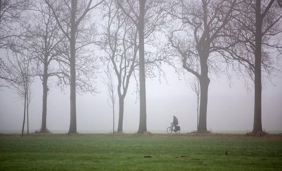 silhouette of lonely bicycle and bare trees along country road in the netherlands on misty day in winter