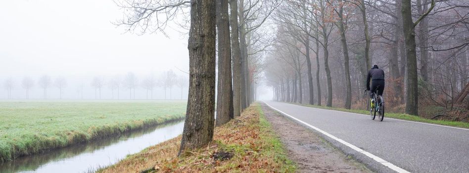 man rides bicycle on tree lined country road near foggy winter meadow in holland near utrecht