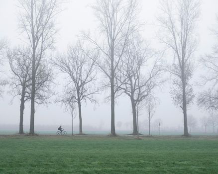 silhouette of lonely bicycle and bare trees along country road in the netherlands on misty day in winter