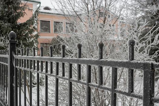 Frost on a wrought-iron fence in the morning after a cold winter night.