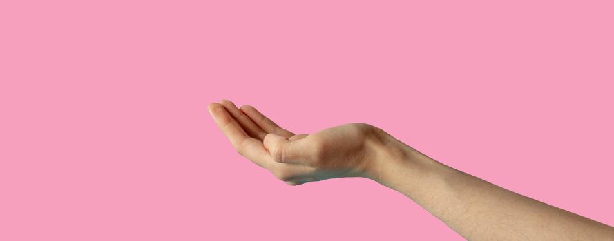 The hand is extended palm up.The hand is open and ready to help or accept. A gesture highlighted on a pink background with a clipping outline.