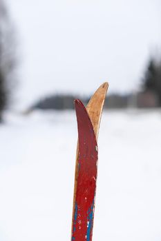 Skis are stuck in the snow in winter. Active winter holidays in the mountains or in the forest on skis. Parking and rest.