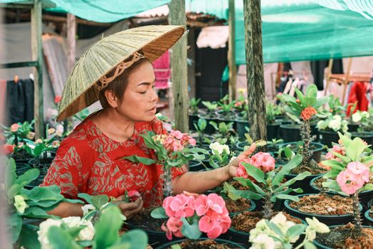 Asian woman with Vietnamese straw hat is smiling and holding potted flower in the garden. Small business concept. Colorful potted flowers Euforbia Spurges bring lucky energy at your home.